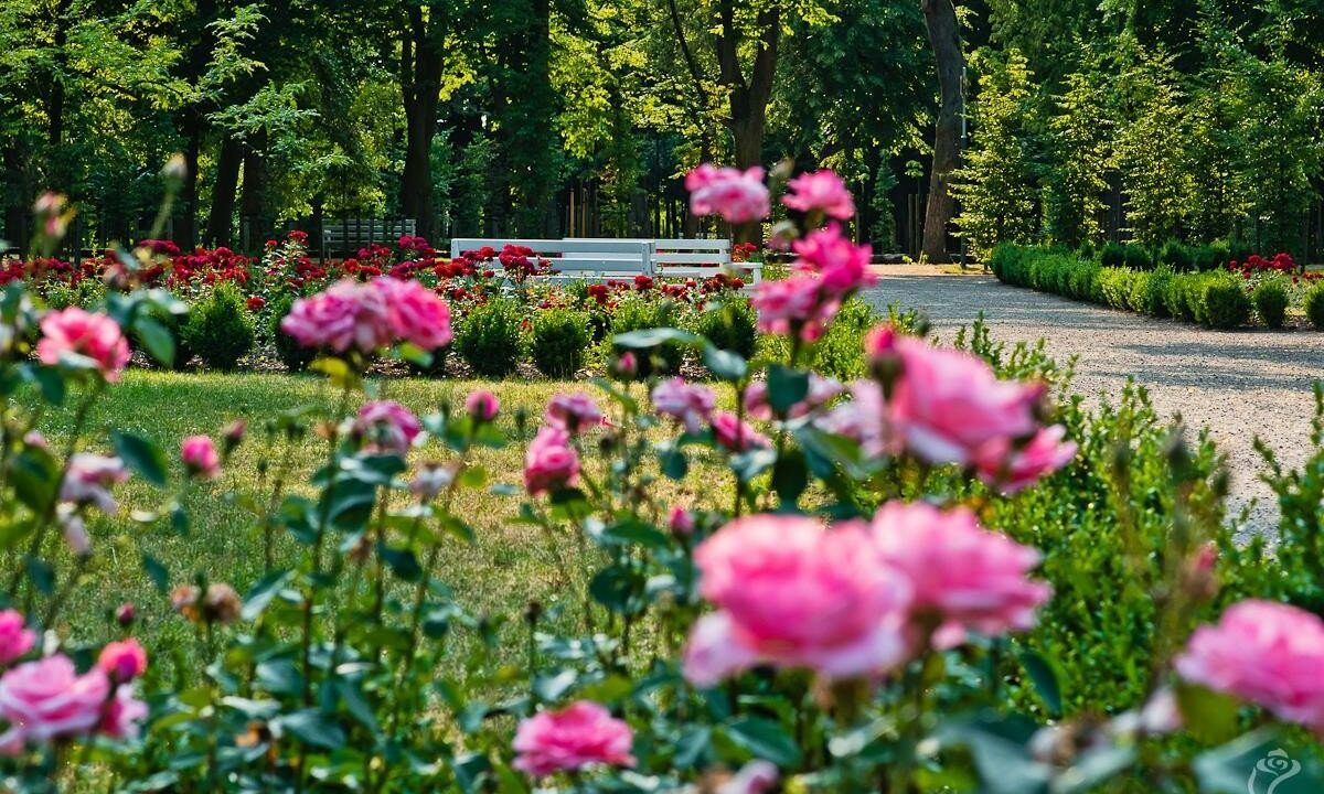 Під Варшавою знаходиться Місто Троянд. Це ідеальне місце для вікенду