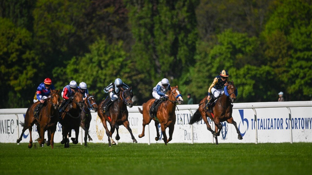 Сезон скачек возвращается в Варшаву: на Служевце стартуют гонки, шоу и семейный праздник