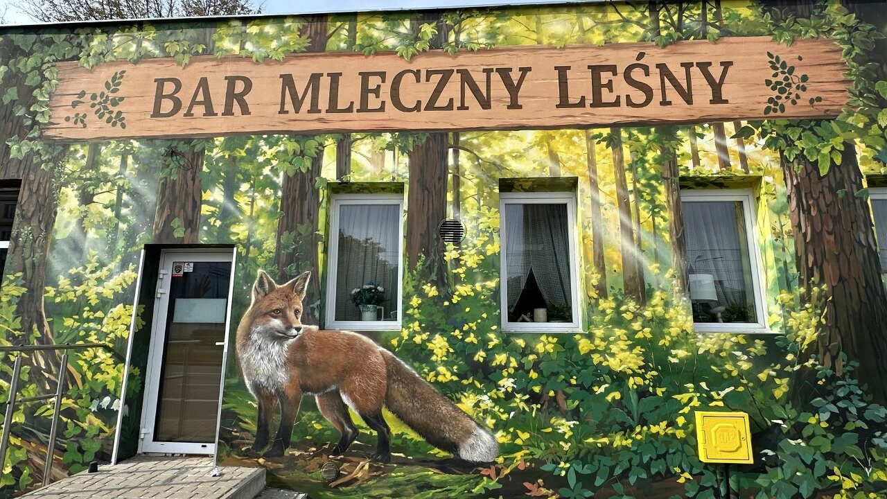 На Мокотуве открылся необычный бар молочный: в меню — оленина, косуля и лань